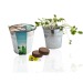 Product thumbnail Planting kit zinc pot 12cm 1