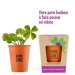 Product thumbnail Good luck message kit - 4-leaf clover 1
