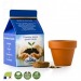 Mini milk can with pot and seedling, Made in France promotional