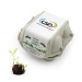 Seed pucks in egg boxes wholesaler