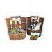 Wicker Basket Planting Kit wholesaler