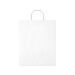 PAPER TONE L - Large paper bag wholesaler