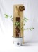 Tree plant in kraft bag, plant promotional