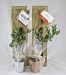 Tree seedling in kraft bag - Softwoods, Tree promotional