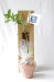 Tree seedling in kraft bag - Softwoods wholesaler