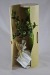 Product thumbnail Tree plant in wooden tube 3