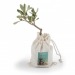 Product thumbnail Olive plant in cotton pouch 2