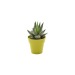 Product thumbnail Decorative plant in bamboo pot 4