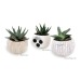 Product thumbnail Depolluting plant in a magnetic ball pot 0