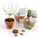 Product thumbnail 55mm clay pot with seeds to grow model with pediment 2