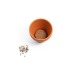 Product thumbnail Terracotta pot with dill seeds 2