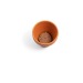 Product thumbnail Terracotta pot with dill seeds 3
