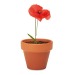 RED POPPY - Poppy seed pot wholesaler