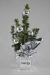 Product thumbnail Christmas tree with decoration 0