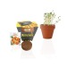 Product thumbnail Terracotta planting kit 10cm 3