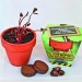 Product thumbnail Terracotta planting kit 8cm 1