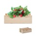 Product thumbnail Strawberry seeds in a wooden box 0