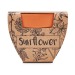 SUNFLOWER - Sunflower seed pot, Bag of seeds promotional