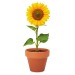 SUNFLOWER - Sunflower seed pot, Bag of seeds promotional