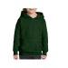 Product thumbnail Children's hoodie 4