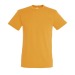 150g regent colour T-shirt, Classic T-shirt promotional