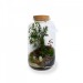 Tropical Terrarium luxury wholesaler
