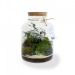 Large tropical terrarium wholesaler