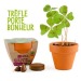 Product thumbnail 4-leaf clover in a terracotta pot 1