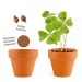Product thumbnail 4-leaf clover in a terracotta pot 2