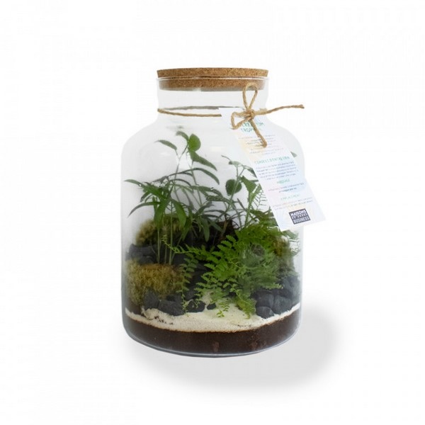Large tropical terrarium 