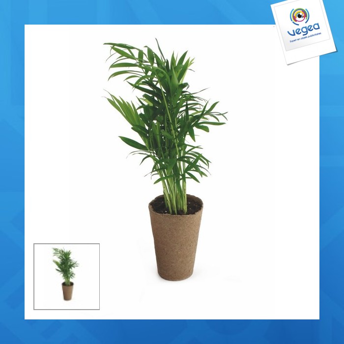 100% environmentally friendly plant 