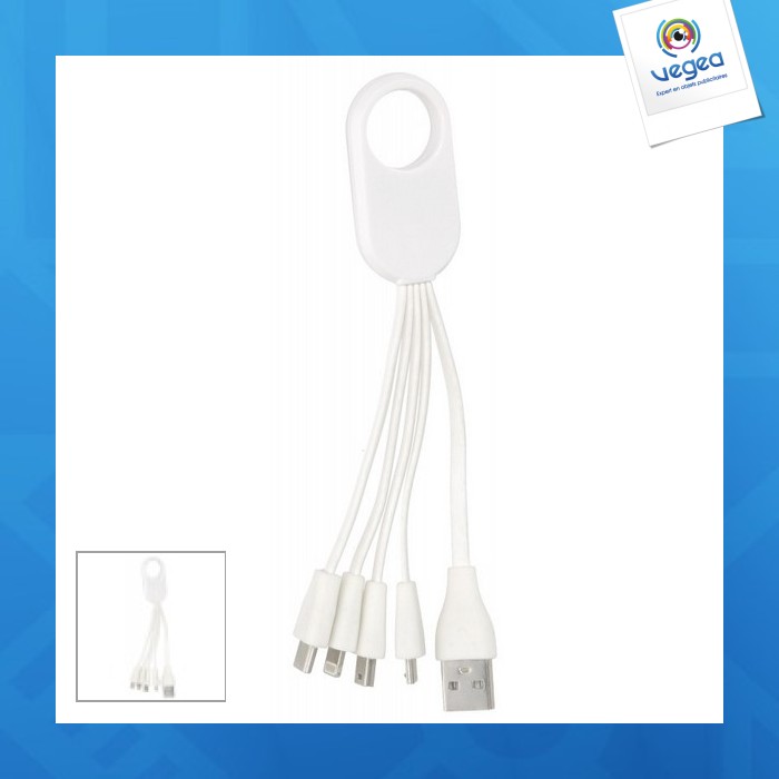 4 in 1 usb cable made of wheat straw