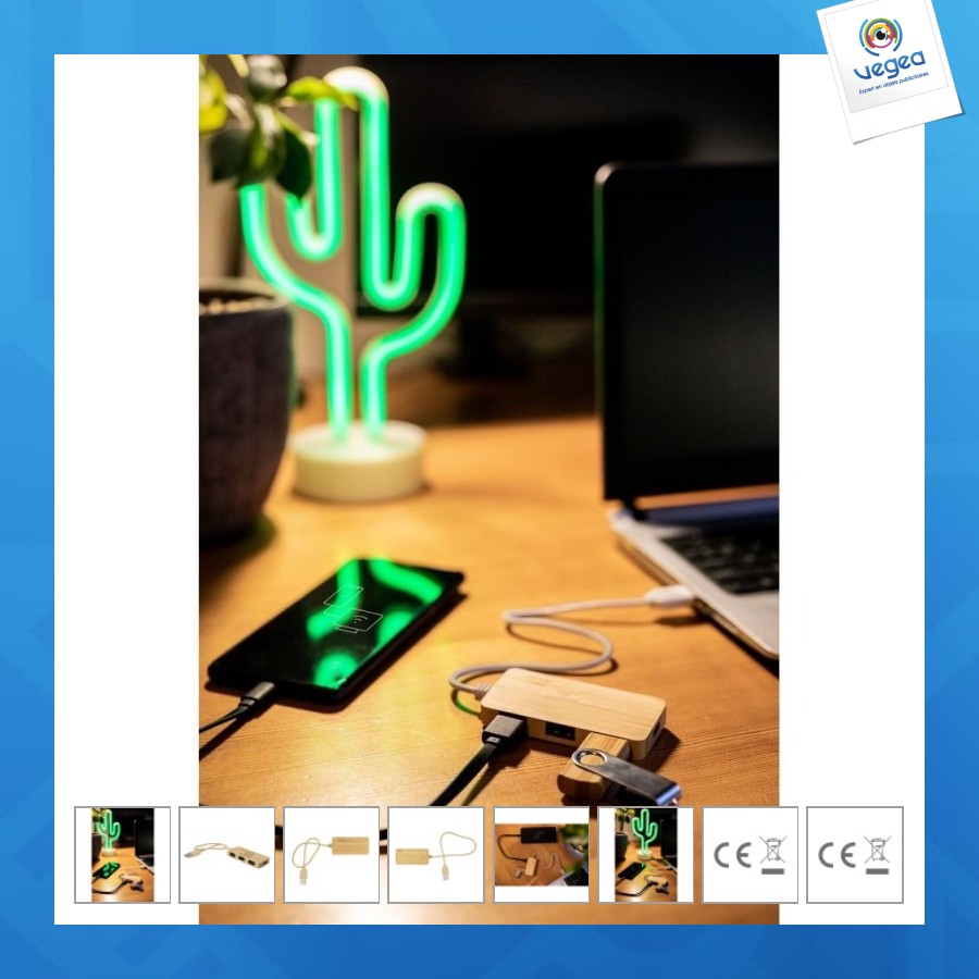 Bamboo usb and usb type c hub b'right - kenzie