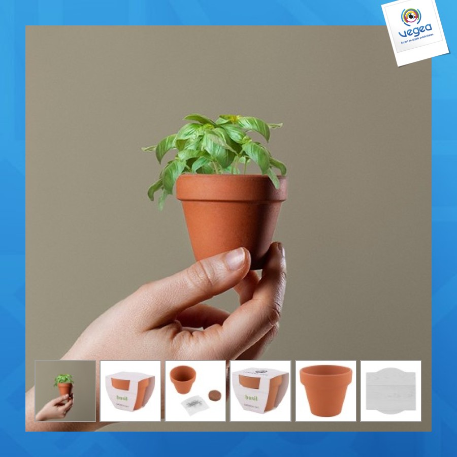 Basil plant pot