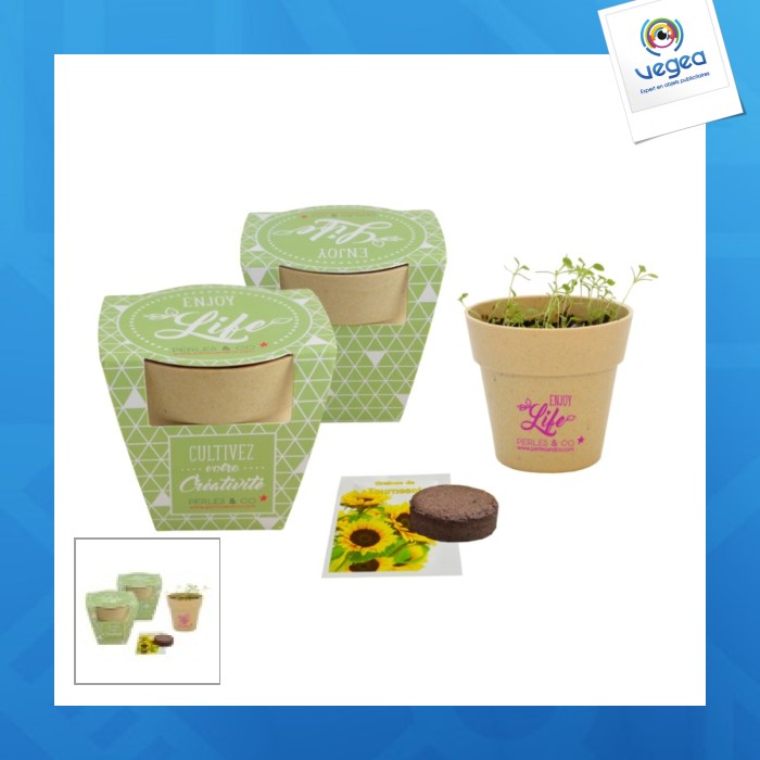 Biodegradable bamboo pot planting kit 