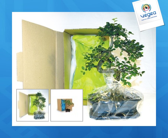 Bonsai cardboard
