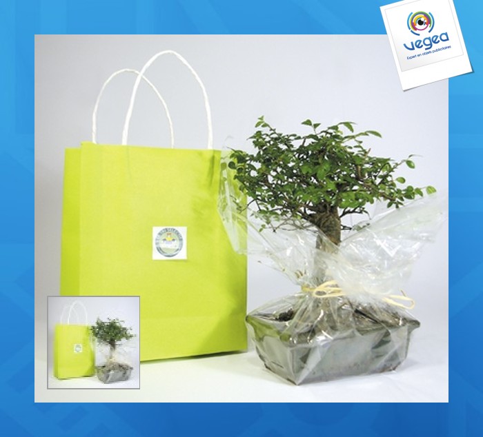 Bonsai in kraft bags