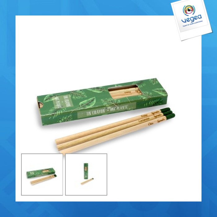 Boxed set of 3 coloured seed pencils