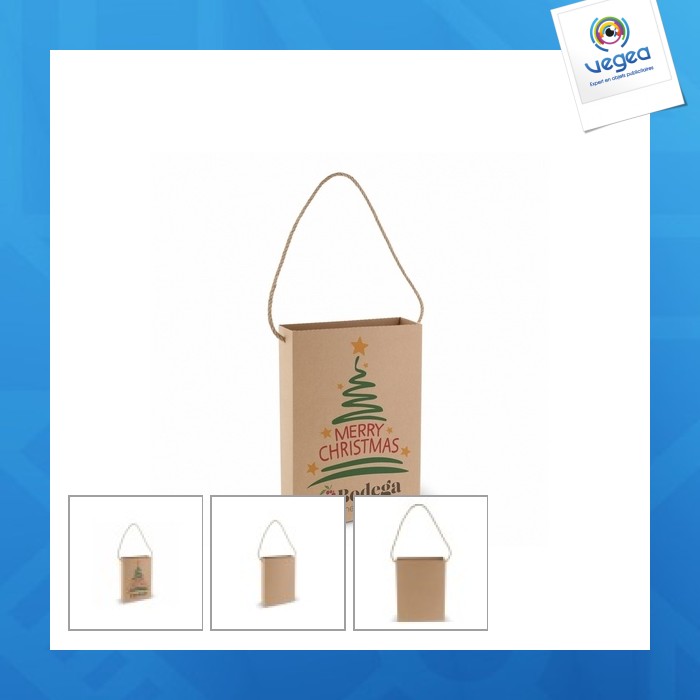 Cardboard bag 24x32x8cm