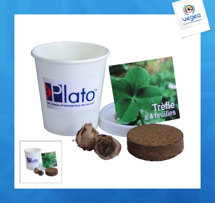 Cardboard pot planting kit 