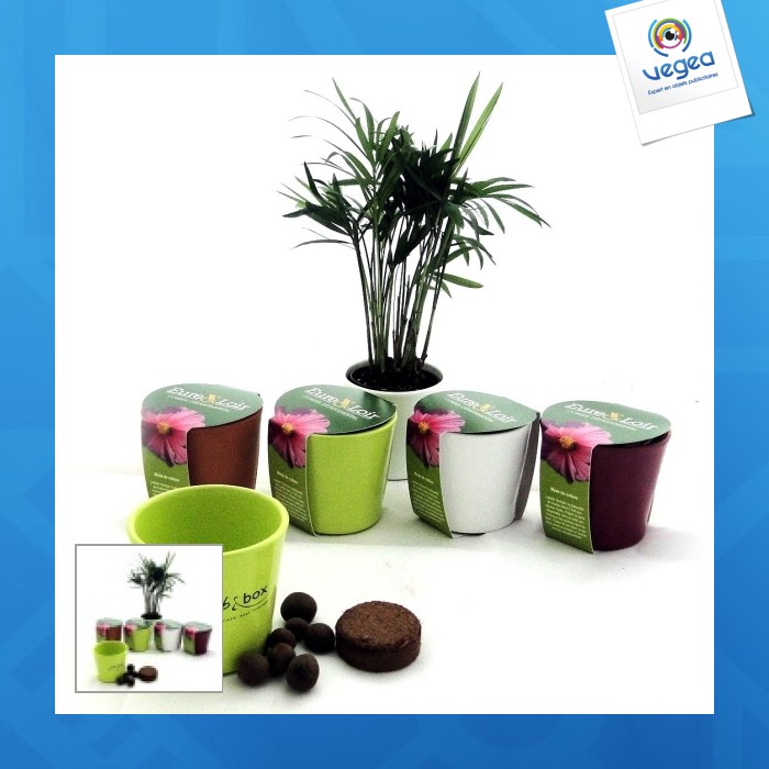 Ceramic planting kit 