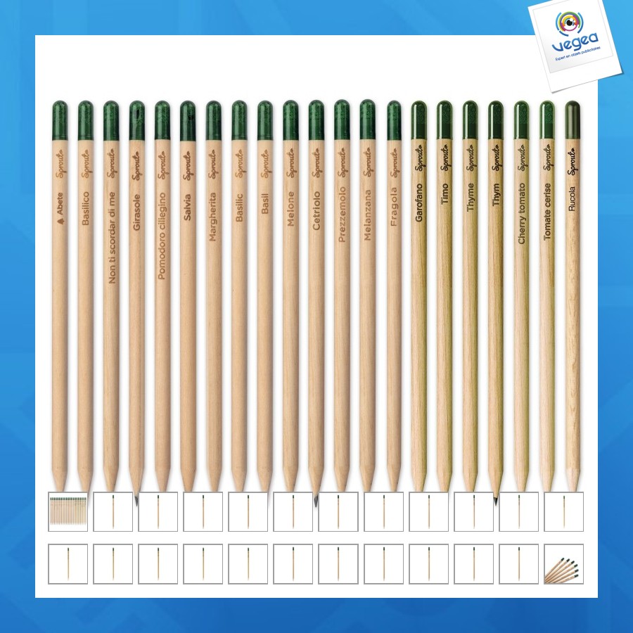 Crayon sprout en bois durable avec mine graphite. plantable après utilisation