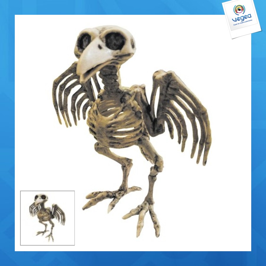 Crow skeleton