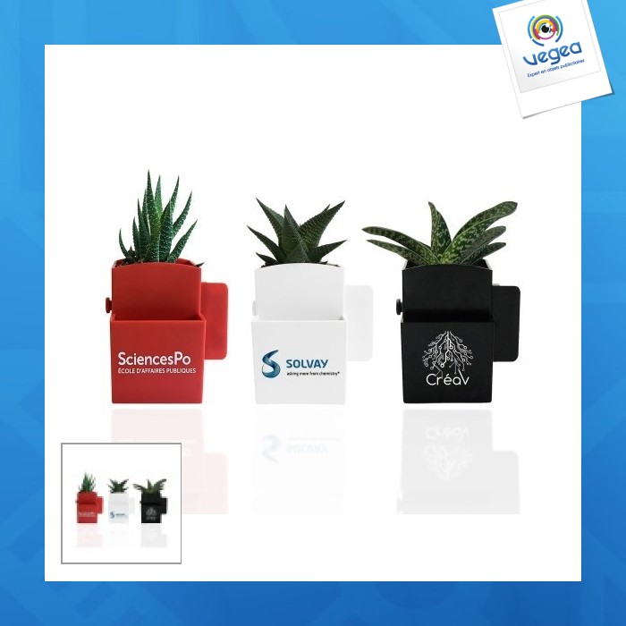 Depolluting plant for a desktop computer