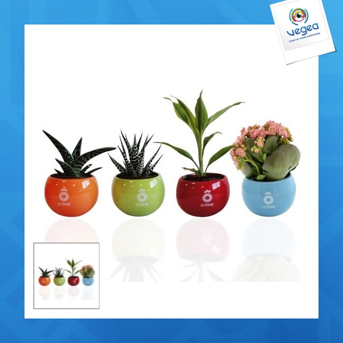 Depolluting plant in a ceramic pot with magnets