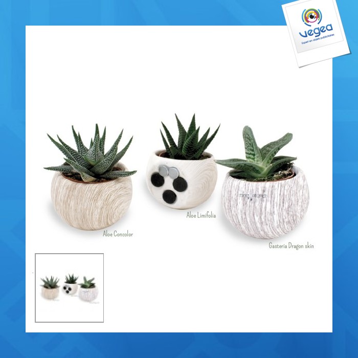 Depolluting plant in a magnetic ball pot