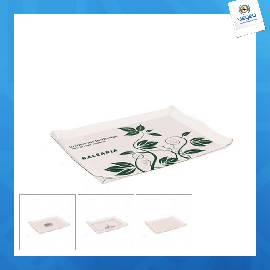 Disposable cardboard tray a4