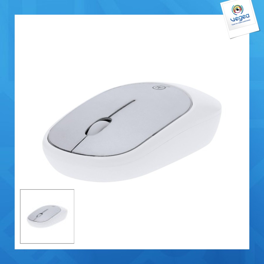 Doryt rcs souris optique 