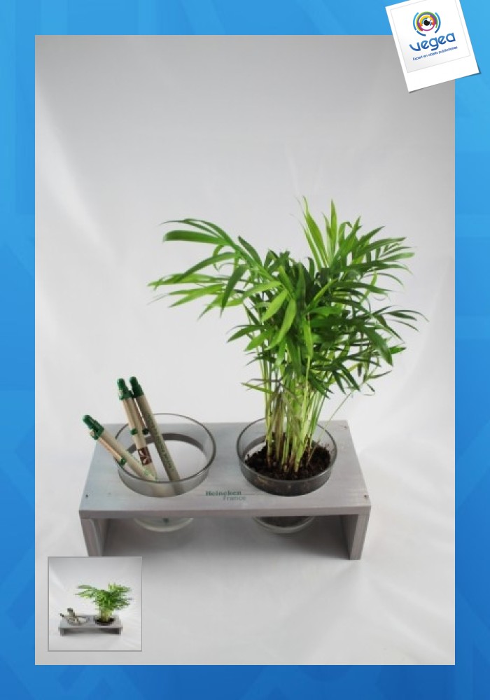 Double pot glass and wood