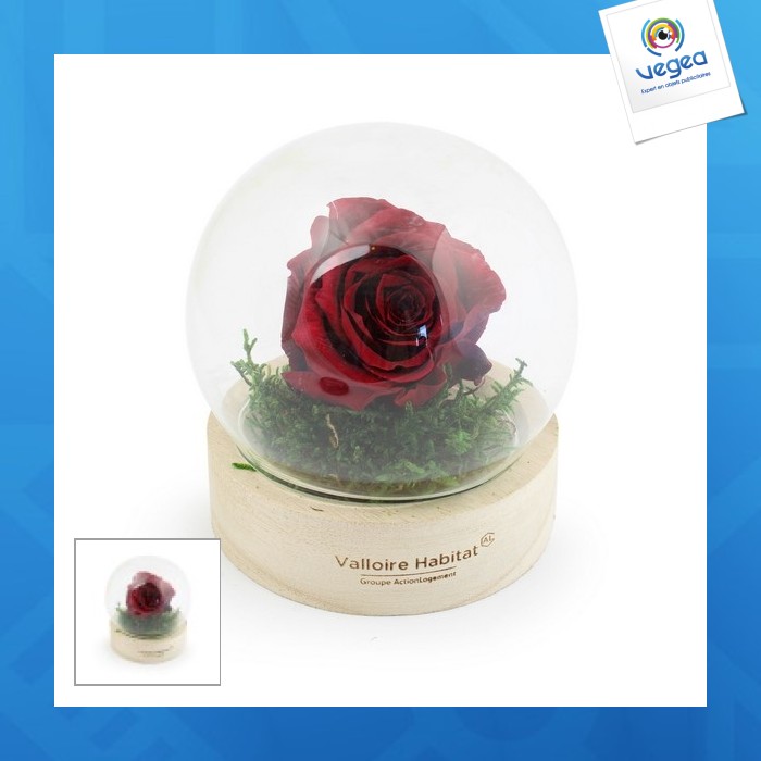 Eternal rose 